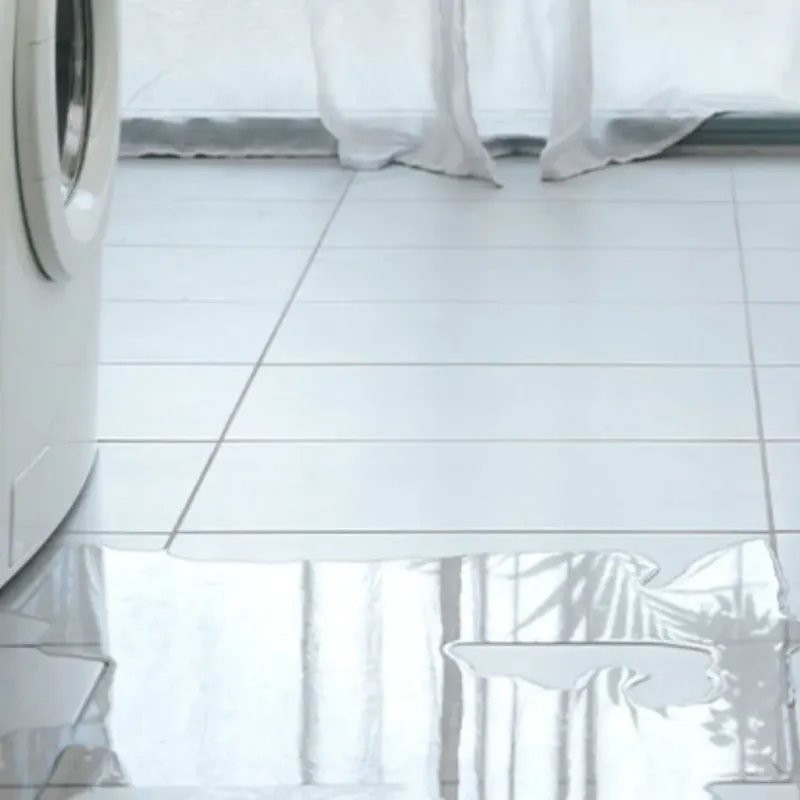 Appliance Leak Cleanup in Abbeville, SC