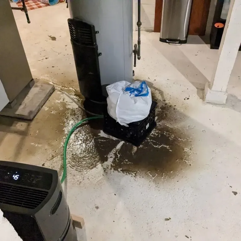 Sewage Backup Cleanup Service in Abbeville, SC